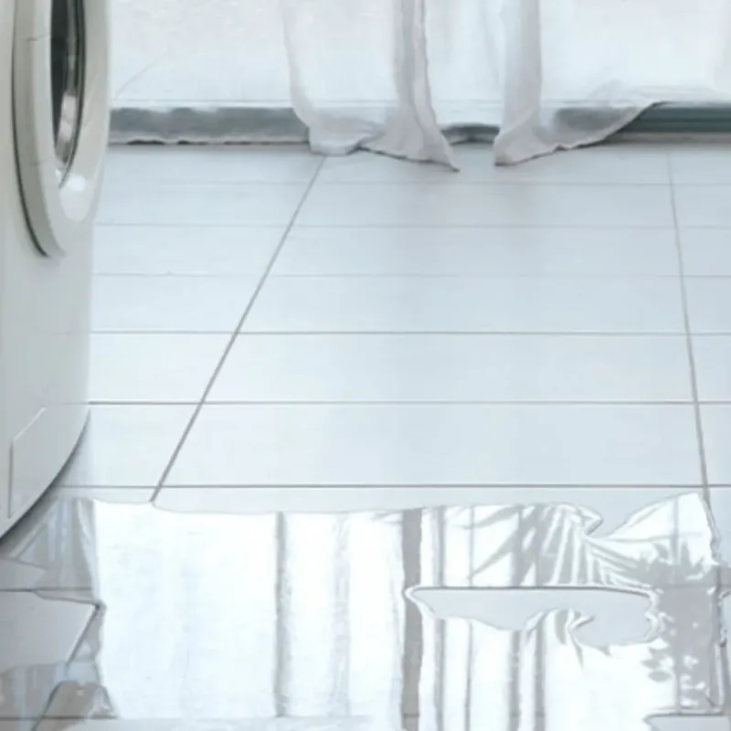 Appliance Leak Cleanup in Iowa County, WI