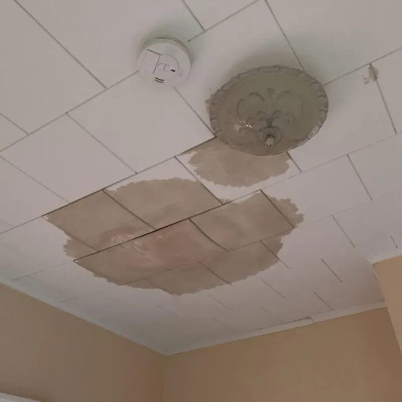 Ceiling Water Damage Repair in Iowa County, WI