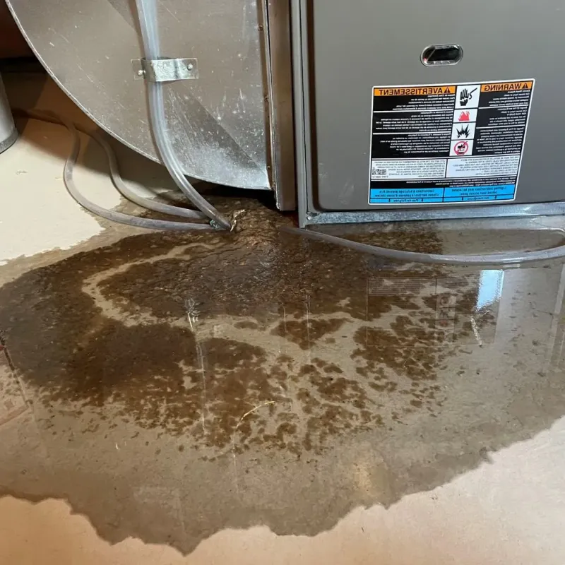 Pipe Burst and Leak Restoration in Iowa County, WI