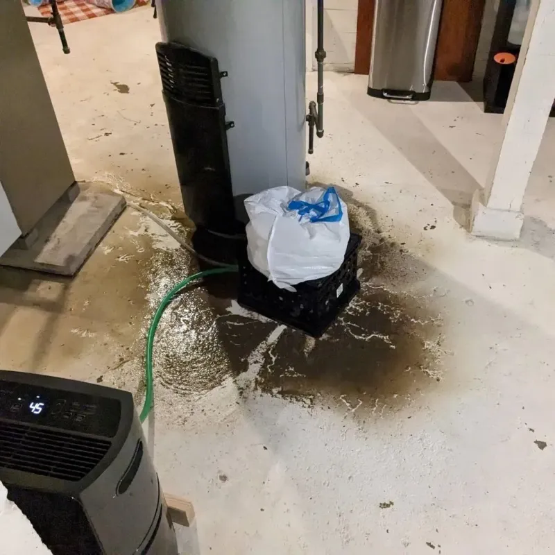 Sewage Backup Cleanup Service in Iowa County, WI